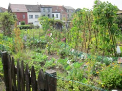 Appel aux bénévoles : création d'un jardin partagé à Quiévrain