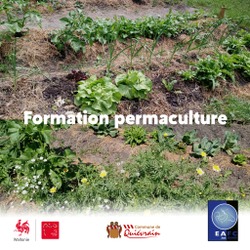 Début d'une formation en permaculture